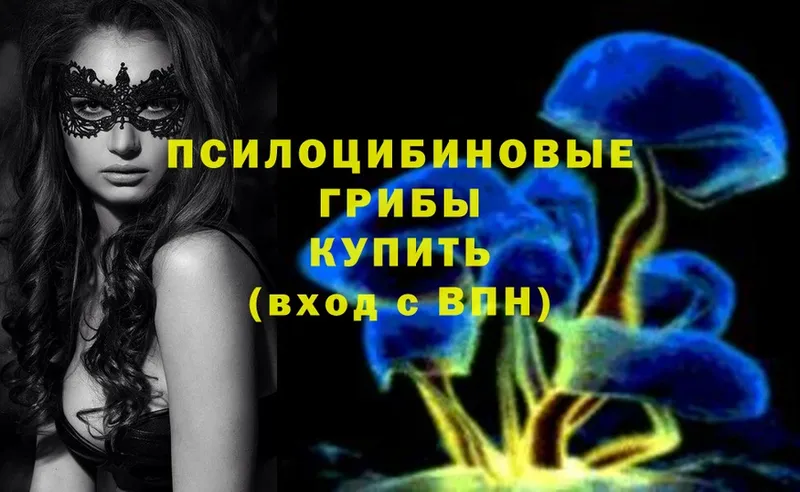 Галлюциногенные грибы Magic Shrooms  купить закладку  Инза 